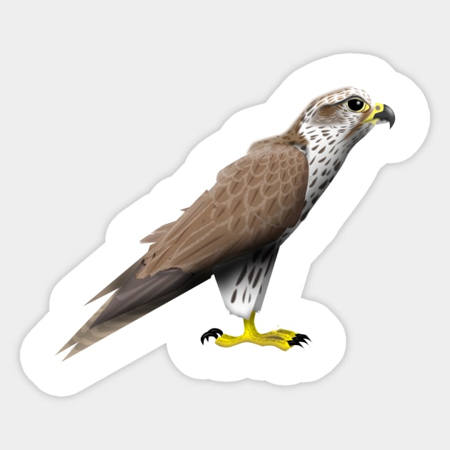 Falcon Sticker by Wickedcartoons